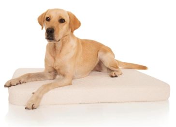 Materasso in memory foam per cane