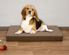 Natalia Spzoo materasso, sedile, cuccia per cani, cuscino universale da  pavimento 90 x 70 x 12